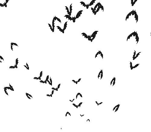 bats