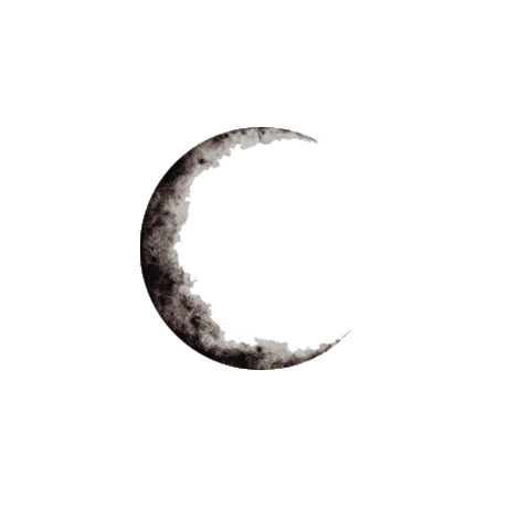 the moon