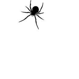 spider