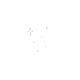 stars